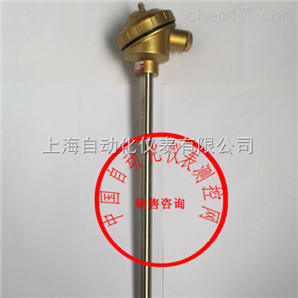 WRR2-120装配式热电偶上自仪三厂