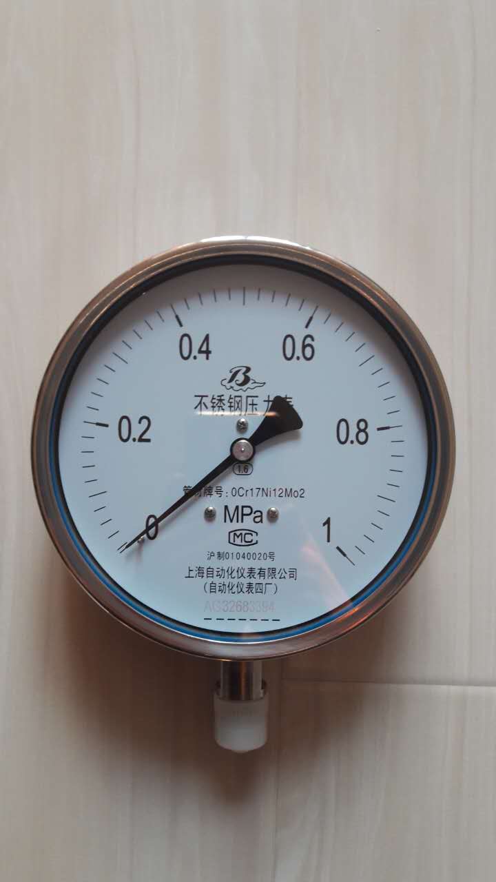 YTN-100耐震压力表0-1Mpa