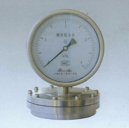 YPT-100A膜片压力表